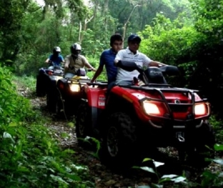 Paseando por la montaña